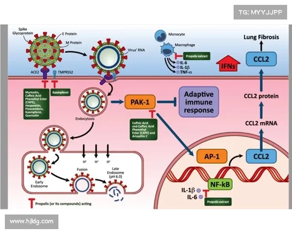 巴西队医实验室启用唾液检测技术实时监控球员免疫水平